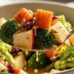Spoon lifting creamy honeycrisp apple broccoli salad showing apples, broccoli, cranberries, and seeds.​